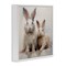 Stupell Industries Fluffy Spring Rabbits Framed Giclee Wall Art Design by Arlington Prints
